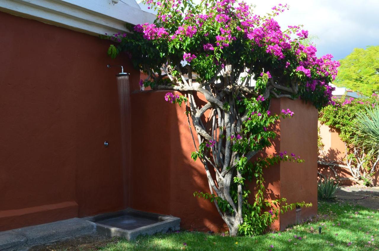 The Peaches Bungalows 45 & 46 Maspalomas  Extérieur photo